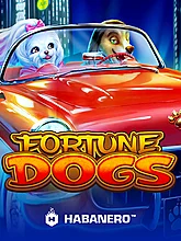 Fortune Dogs